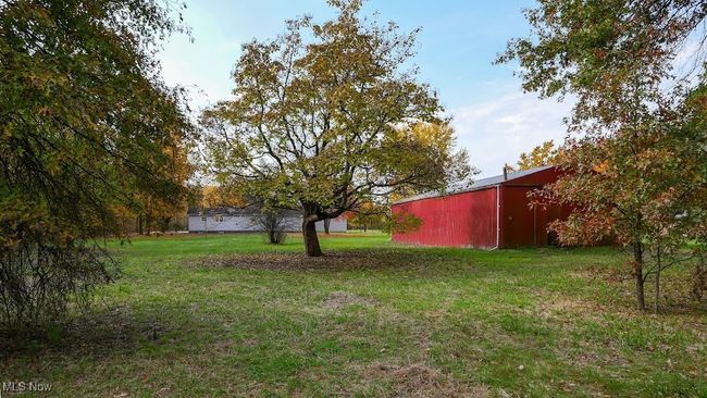 View of yard with an barn | Image 15