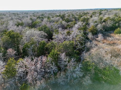 Lot 15 Antioch Rd, Paige, TX, 78659 | Card Image