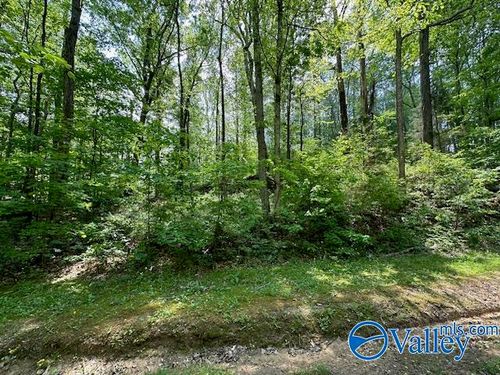 Lot 201 North Ridge Drive, Cherokee Ridge, AL, 35175 | Card Image