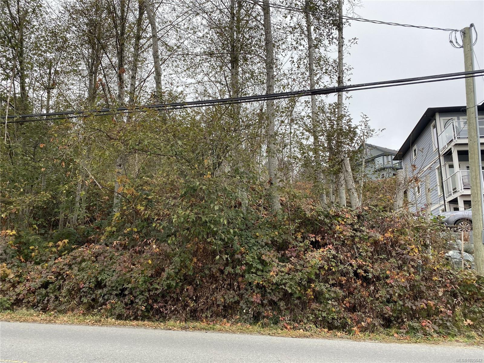 Residential in Lake Cowichan 4