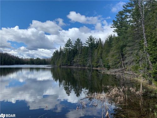 0 Johnson Rd, Apsley, ON, K0L1A0 | Card Image