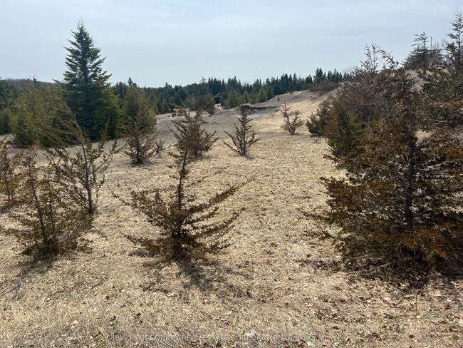 12 - 00 County Rd 13 E, Home with 0 bedrooms, 0 bathrooms and null parking in Hastings ON | Image 6