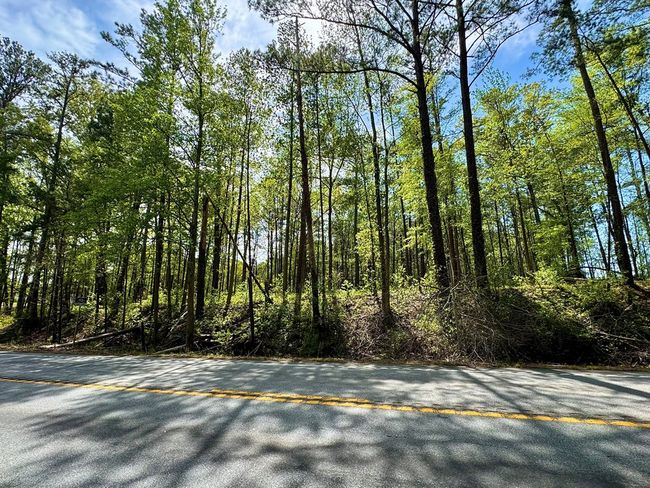 0 Ga Highway 87, Home with 0 bedrooms, 0 bathrooms and null parking in Juliette GA | Image 13