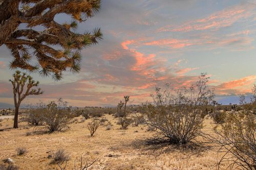 60531 Cielito Dr, Joshua Tree, CA, 92252 | Card Image