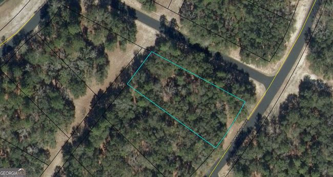 607 Coopers Landing Dr Ne, Home with 0 bedrooms, 0 bathrooms and null parking in Townsend GA | Image 8
