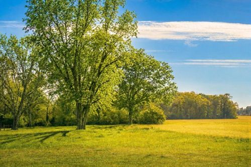 TBD Vinson Ray Road, Baker, FL, 32531 | Card Image