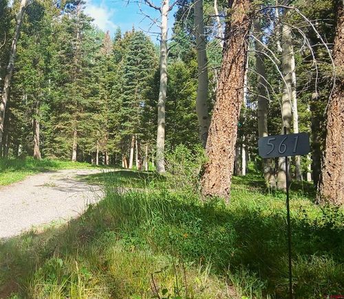 561 Crest Dr, Cimarron, CO, 81220-9504 | Card Image
