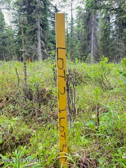 L3 Madsen Ave, Kasilof, AK, 99610 | Card Image