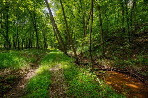 6221 Lickton Pike, Goodlettsville, TN, 37072-9150 | Card Image