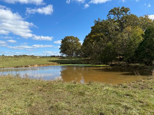 000 Highway 17, Houston, MO, 65483 | Card Image