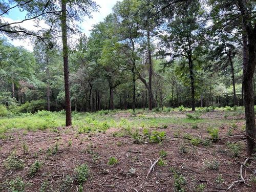 25 County Road 302, Plantersville, TX, 77363 | Card Image