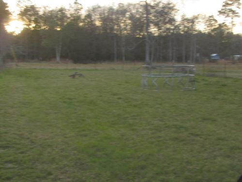 45 Foxtrail Road, Picayune, MS, 39466 | Card Image