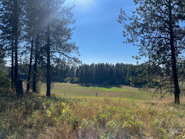 181 Harris Ridge Loop, House other with 3 bedrooms, 3 bathrooms and 2 parking in Kooskia ID | Image 8