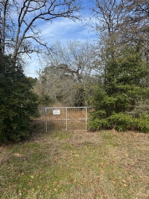 95 Travis Rd, Paige, TX, 78659 | Card Image