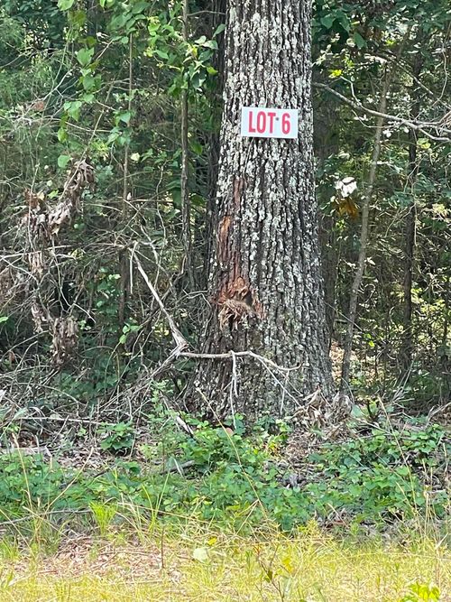 Lot 6 Pleasant Ridge Rd, Greers Ferry, AR, 72067-8929 | Card Image