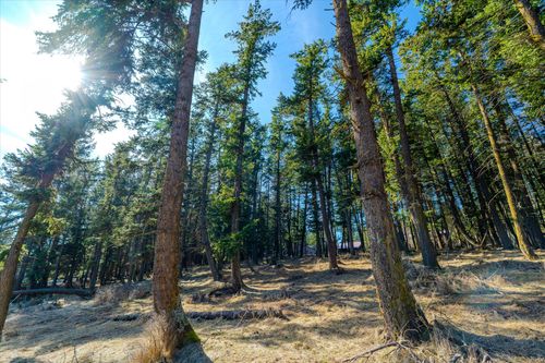 NHN 4th Avenue West N, Columbia Falls, MT, 59912 | Card Image