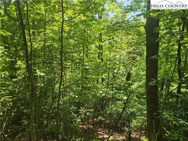 25 - 301 Bear Track Ln, Home with 0 bedrooms, 0 bathrooms and null parking in Lenoir NC | Image 21