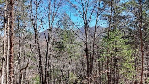 LOT 10 Butternut S/D / Firefly Ridge, Blairsville, GA, 30512 | Card Image