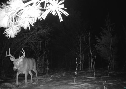 91XXX-S W Old County Hwy K, Bayfield, WI, 54814 | Card Image