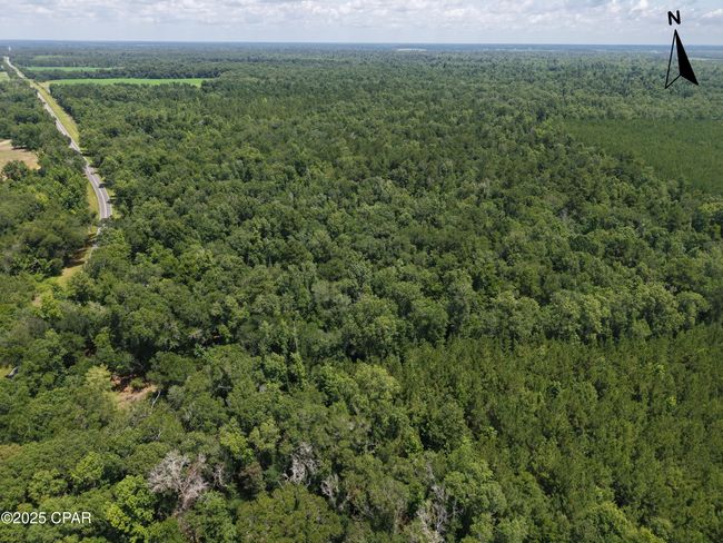 0 River Rd. Road, Home with 0 bedrooms, 0 bathrooms and null parking in Bascom FL | Image 6