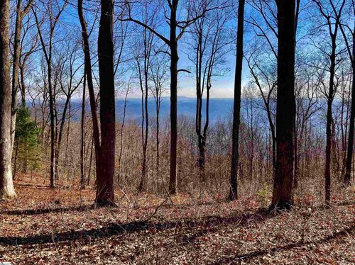 1000 Mountain Summit Rd, Travelers Rest, SC, 29690-3906 | Card Image