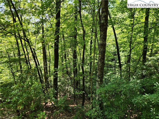25 - 301 Bear Track Ln, Home with 0 bedrooms, 0 bathrooms and null parking in Lenoir NC | Image 23