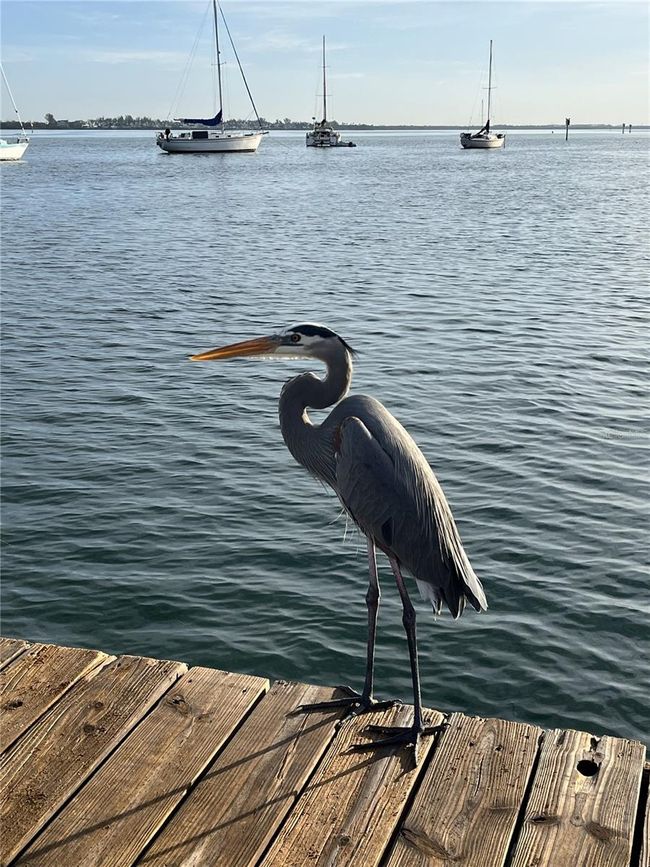 640 Fox St, House other with 2 bedrooms, 2 bathrooms and null parking in LONGBOAT KEY FL | Image 50