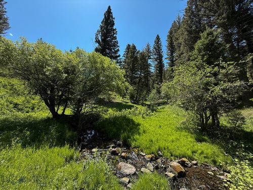 40 Hope Rd, Helmville, MT, 59843 | Card Image
