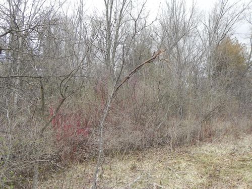 18180 W Dale Drive, New Berlin, WI, 53146 | Card Image