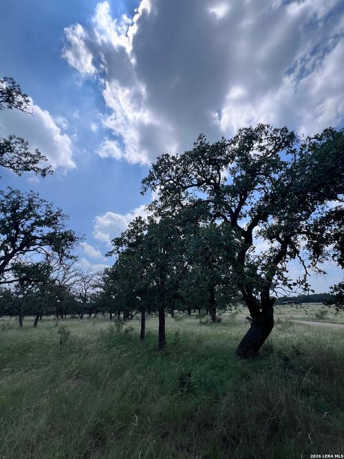 0 Hollmig Ln, Fredericksburg, TX, 78624 | Card Image