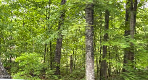 5002 Crazy Horse Dr, Crossville, TN, 38572 | Card Image