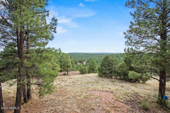 718 Kohners Ridge Dr, House other with 6 bedrooms, 4 bathrooms and null parking in Happy Jack AZ | Image 47