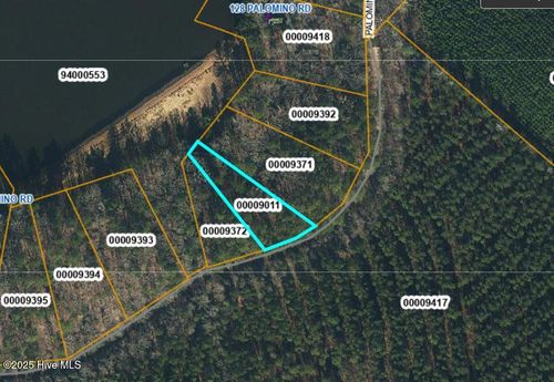 Lot 51 A Palomino Rd, Carthage, NC, 28327 | Card Image