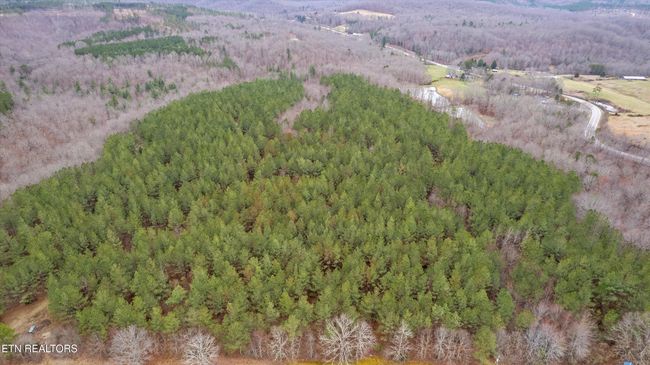 0 Morgan Co Hwy, Home with 0 bedrooms, 0 bathrooms and null parking in Sunbright TN | Image 8