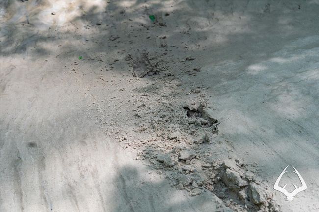 Image | Image 21