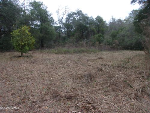 1724 Highway 173, Bonifay, FL, 32425-5616 | Card Image