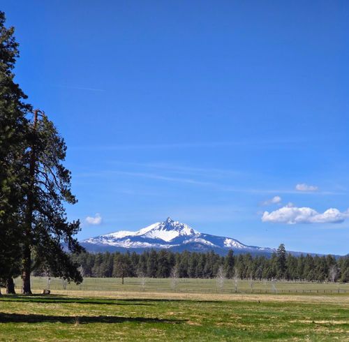8-353 S Pine Meadow St, Sisters, OR, 97759-2527 | Card Image