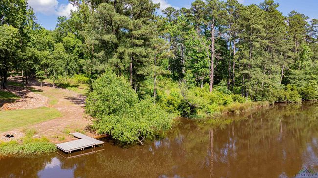 3 Bridle Path, Home with 0 bedrooms, 0 bathrooms and null parking in Longview TX | Image 19