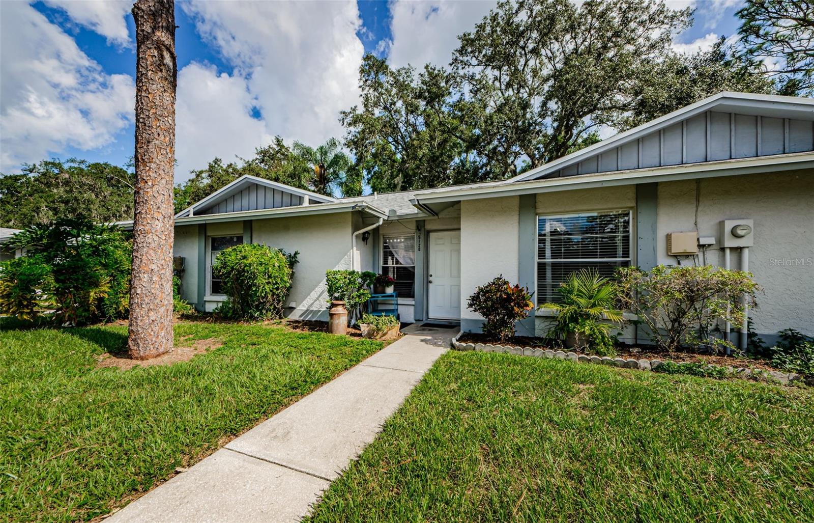 Gainsville Dr, Temple Terrace, FL 33617