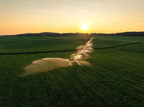 1, 120.44± Acres Land Auction, IOLA, WI, 54945 | Card Image