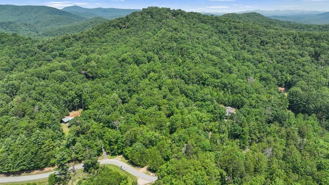 Lot 1 High Knee Rd, Home with 0 bedrooms, 0 bathrooms and null parking in Cherry Log GA | Image 5