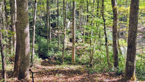 Lot PQ Spikemoss Rd, Sapphire, NC, 28774 | Card Image