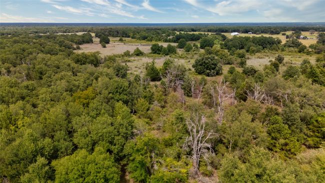 Aerial view | Image 24