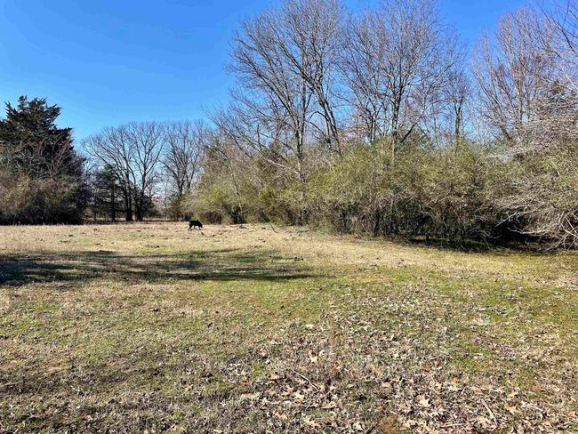 000 Brewer Rd, Home with 0 bedrooms, 0 bathrooms and null parking in Conway AR | Image 21