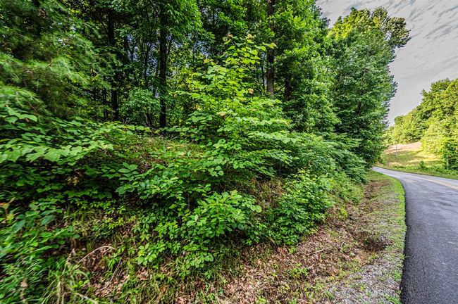 4155 State Route 949, Home with 2 bedrooms, 1 bathrooms and null parking in Dunmor KY | Image 25