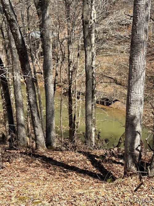 28 Trails End Ln, ALEXANDER CITY, AL, 35010-6934 | Card Image