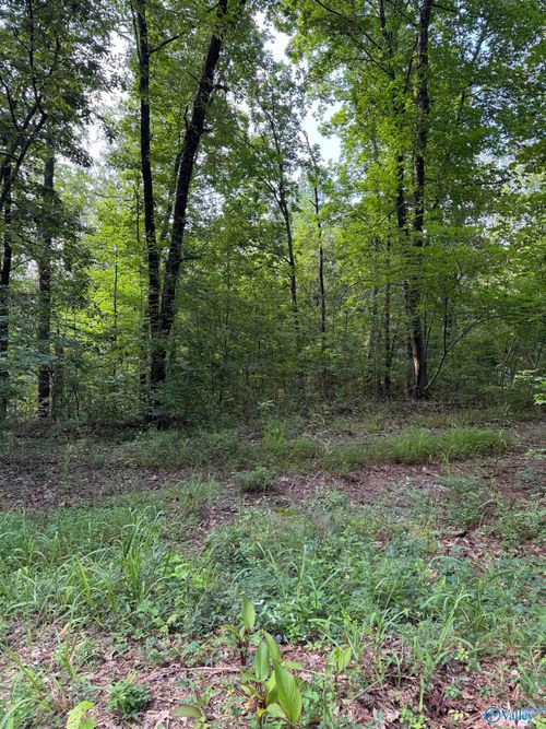 3 Parkwood Ln, Gadsden, AL, 35905 | Card Image