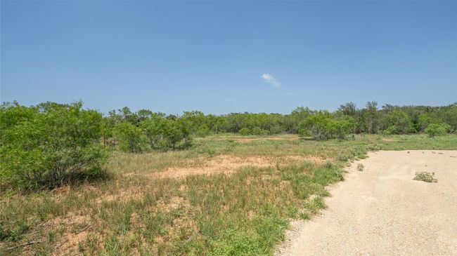 View of wooded area | Image 5