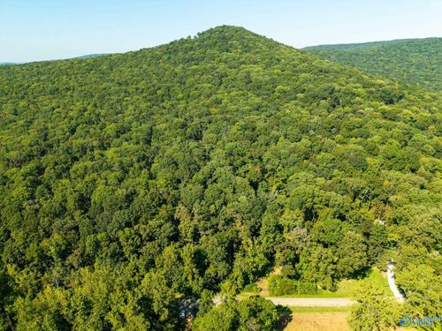6.5 Acres Rock Spring Rd, Owens Cross Roads, AL, 35763 | Card Image