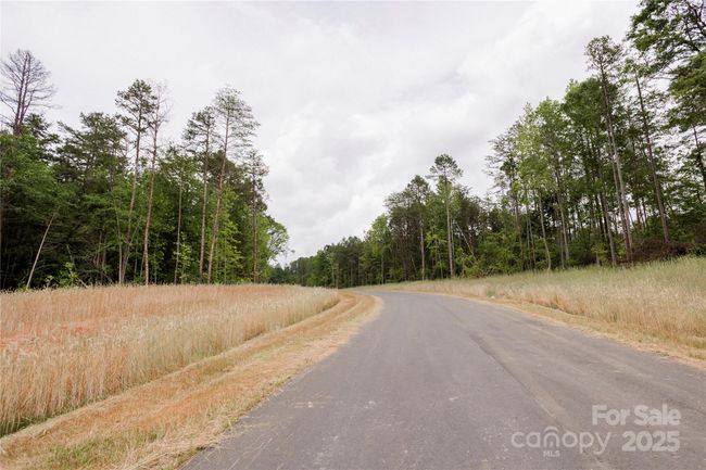 Lot 12 American Bittern Way, Home with 0 bedrooms, 0 bathrooms and null parking in Clover SC | Image 12
